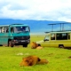 ngorongoro crater