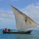 LOCAL FISHING