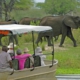 Nyerere National Park