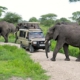 Tarangire National Park